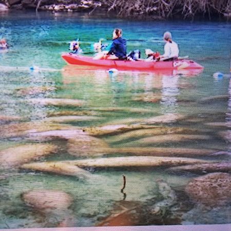 Manatee Watch Den Apartman Crystal River Kültér fotó